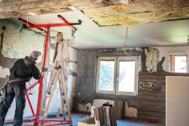 Best Eco-Friendly Insulation in Converse, IN